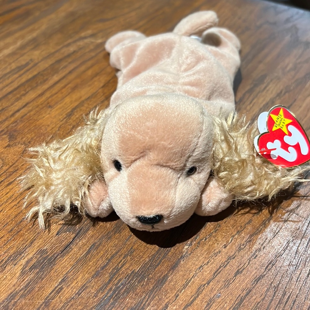 NEW original TY Beanie Babies Spunky the Corker Spaniel puppy has error on tag !